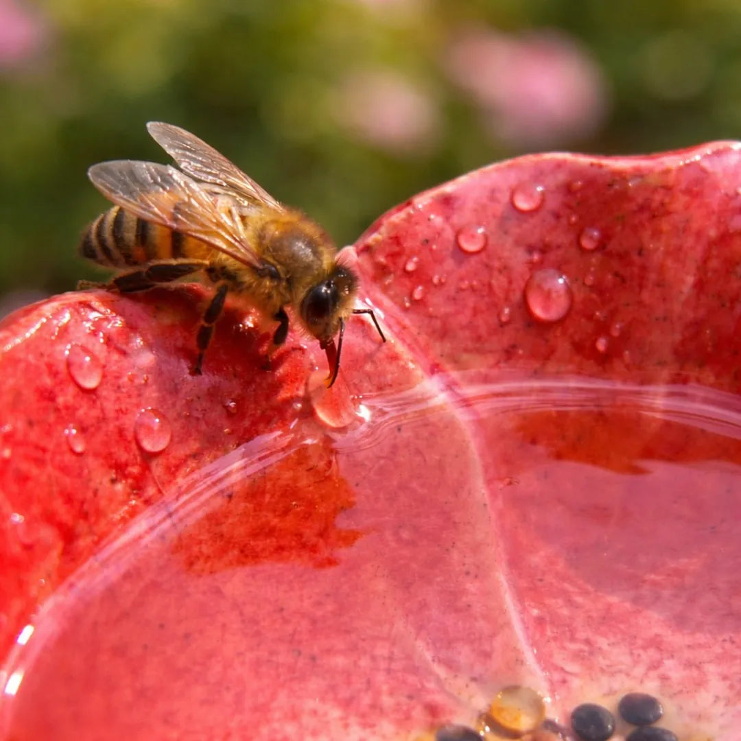 Charming Ceramic Flower Water Stations for Bees (Set of 4)