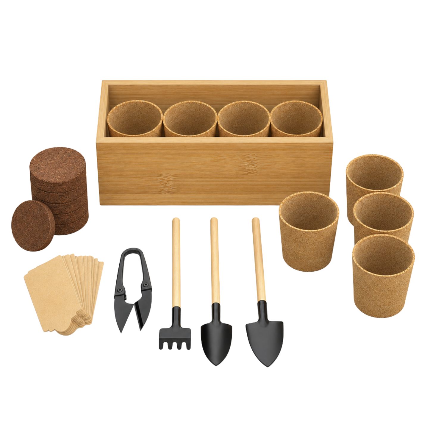 Garden Tools and Wooden Box Bonsai Planting Starter Set