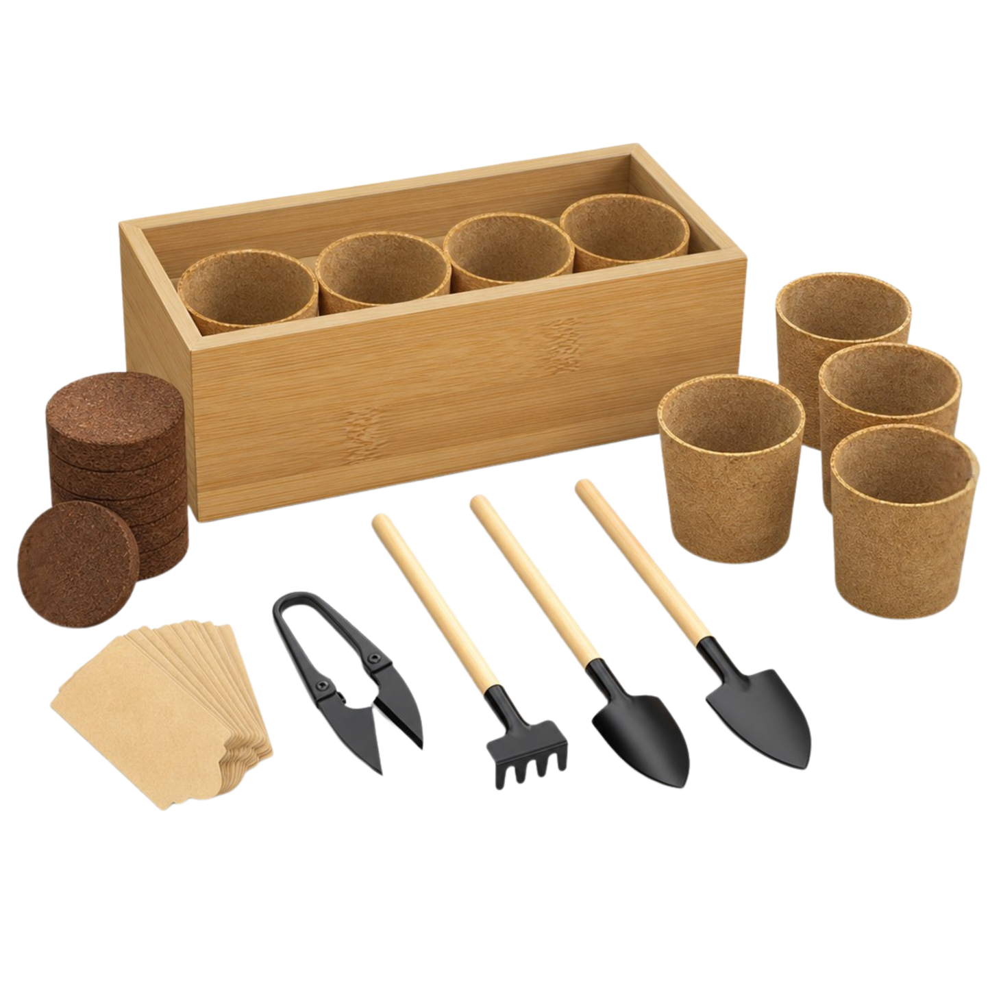 Garden Tools and Wooden Box Bonsai Planting Starter Set