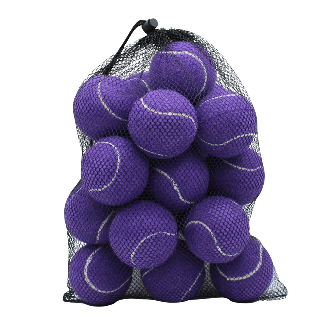20-Pack of Training Tennis Balls with 2.58-Inch Diameter and Carry Bag