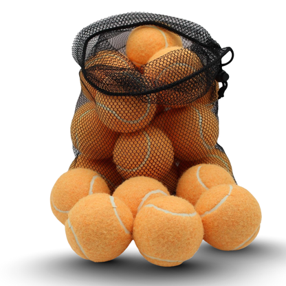 20-Pack of Training Tennis Balls with 2.58-Inch Diameter and Carry Bag